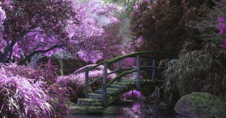 Spring Garden Sanctuary